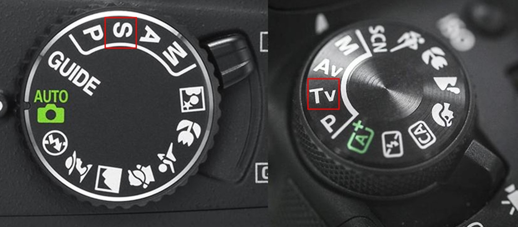 Фотошкола FOTOFQSKOOL: очное и онлайн обучение для всех уровней. FOTOFAQ SKOOL г. Санкт-Петербург: очные, дистанционные и онлайн курсы фотографии