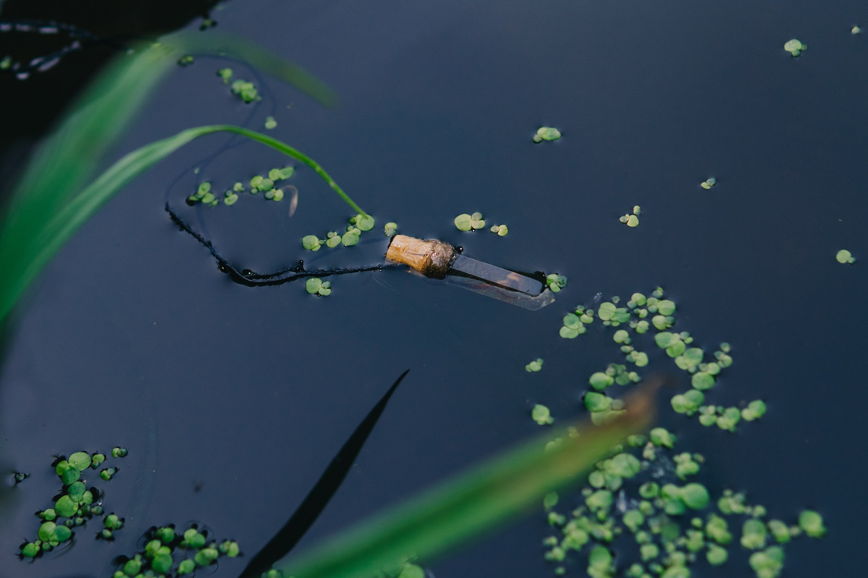 Мы делаем всё, чтобы клиенты к нам не приходили. Как пересобрать соцсети. Saamill