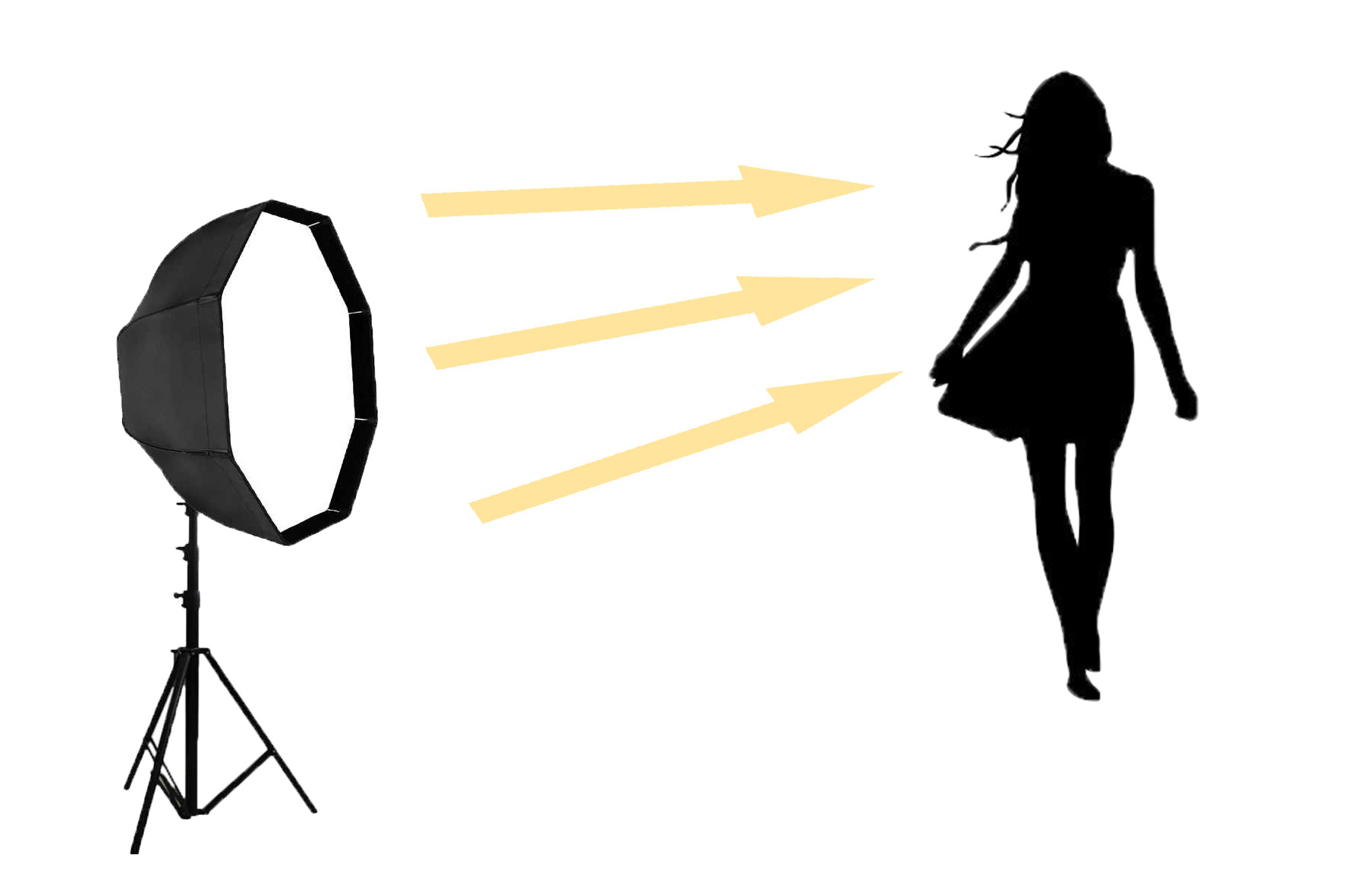 Жесткий и мягкий свет. Как их создать? Как с ними работать?. Свадебный и семейный фотограф Виктория Носачёва. Щелково, Москва и МО