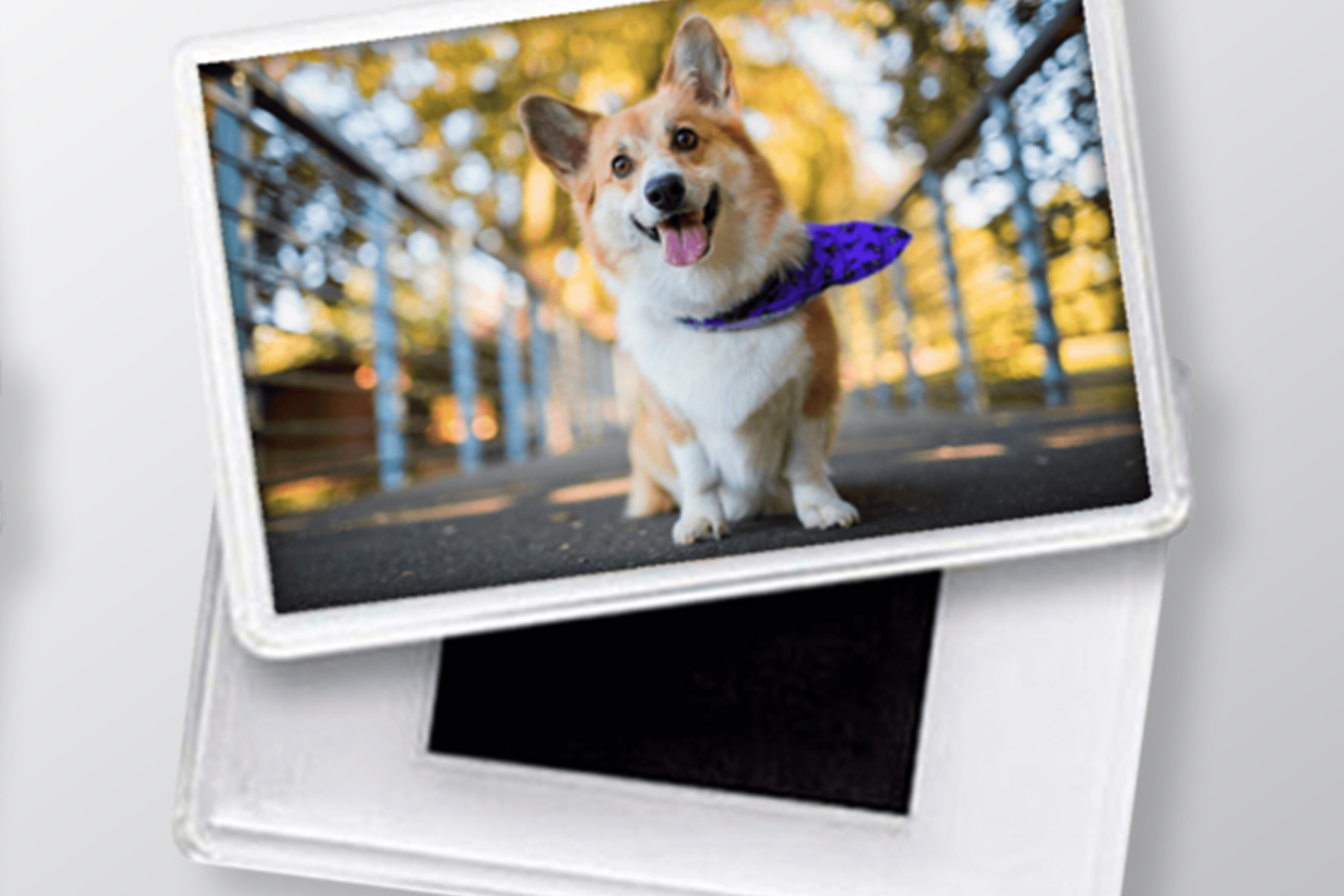 Фотомагниты в Краснодаре с любым фото и изображением