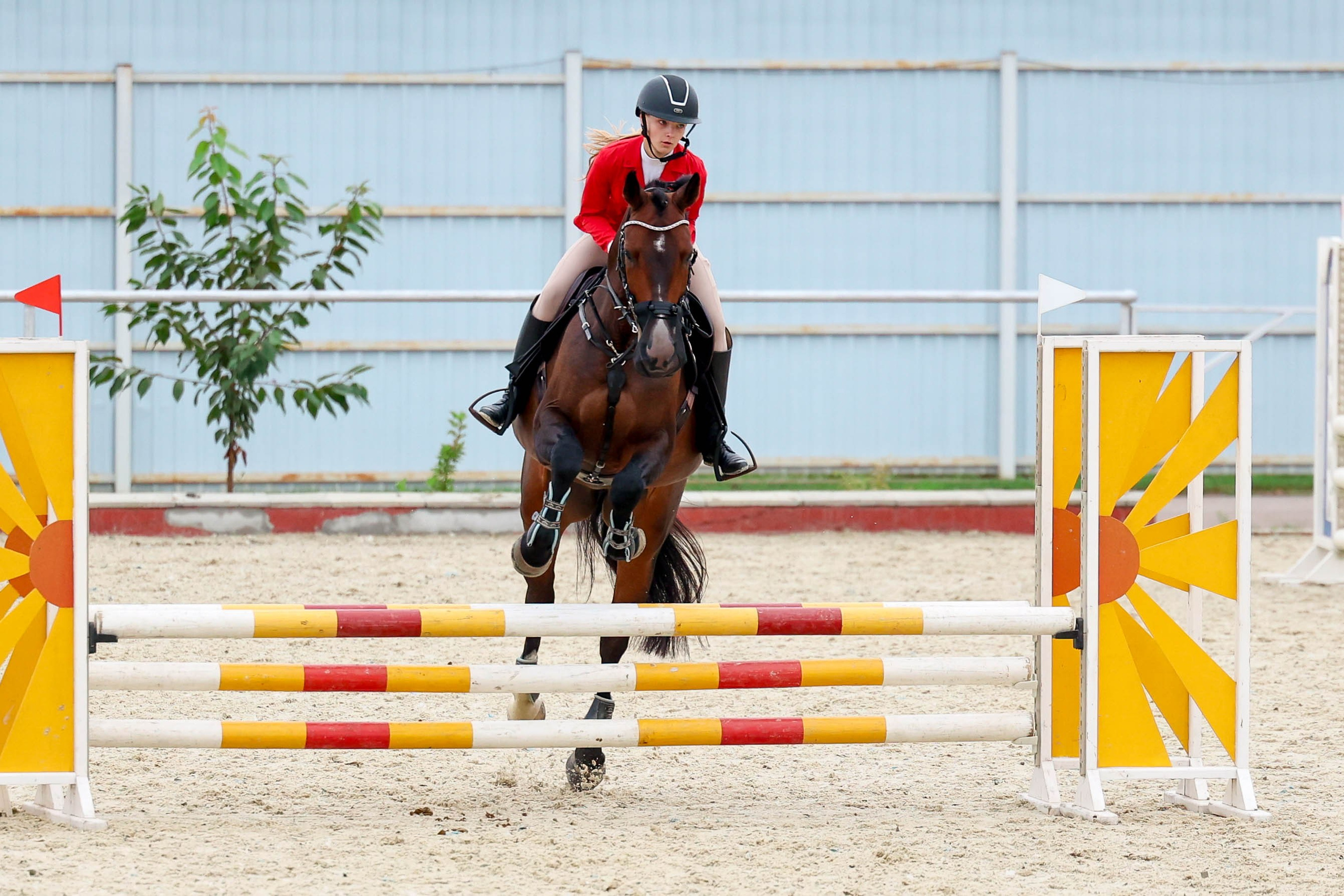 КСК КОНКОРД 23.08. Фотограф Баринова Полина