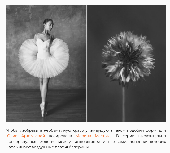 Press — Big Picture