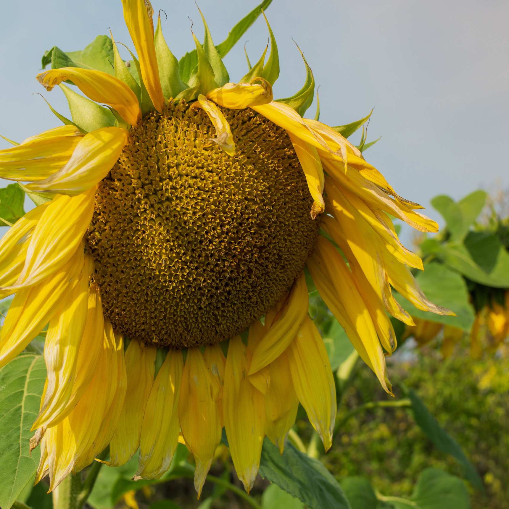 Контакты. Семейный и детский фотограф в Нижнеудинске Наталья Лобенко