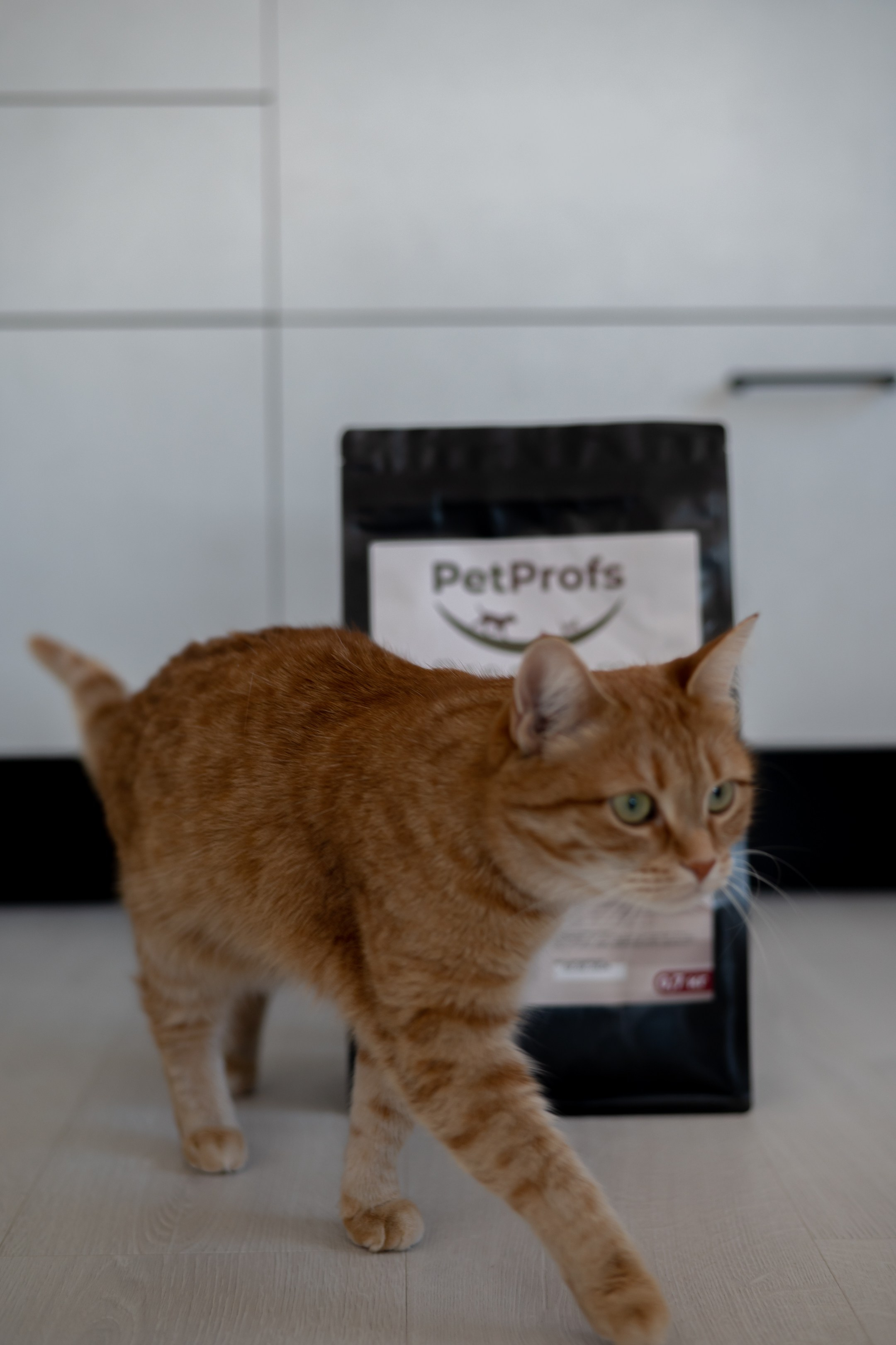 Портретный, семейный фотограф Марина Моисеева