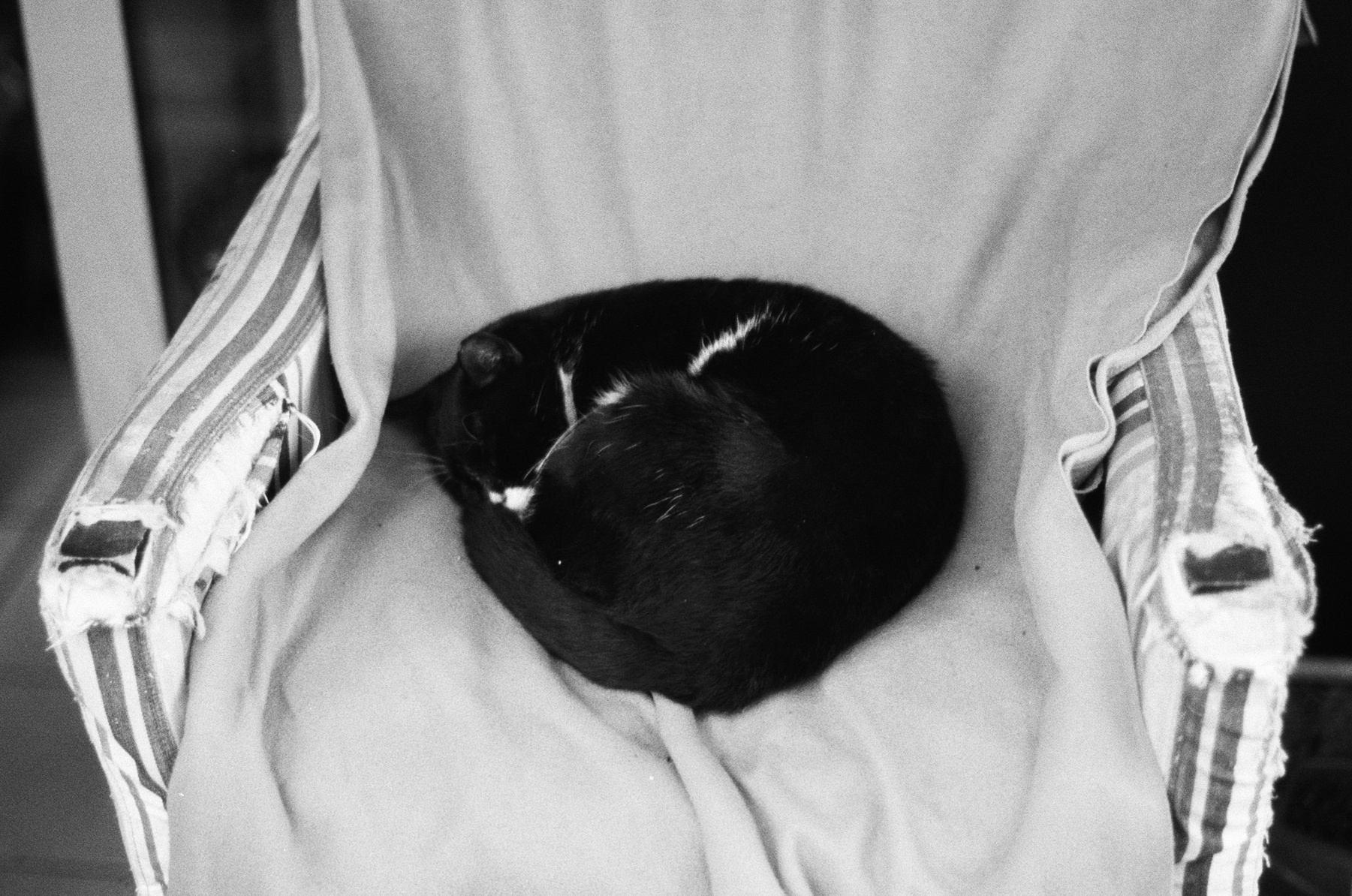 CONTACT. EVER EXPOSED