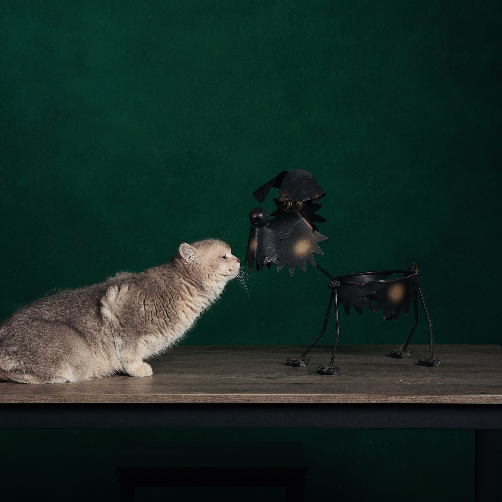 Мелкий реквизит студии. Фотографы в Орле Шестопаловы Юлия и Юрий