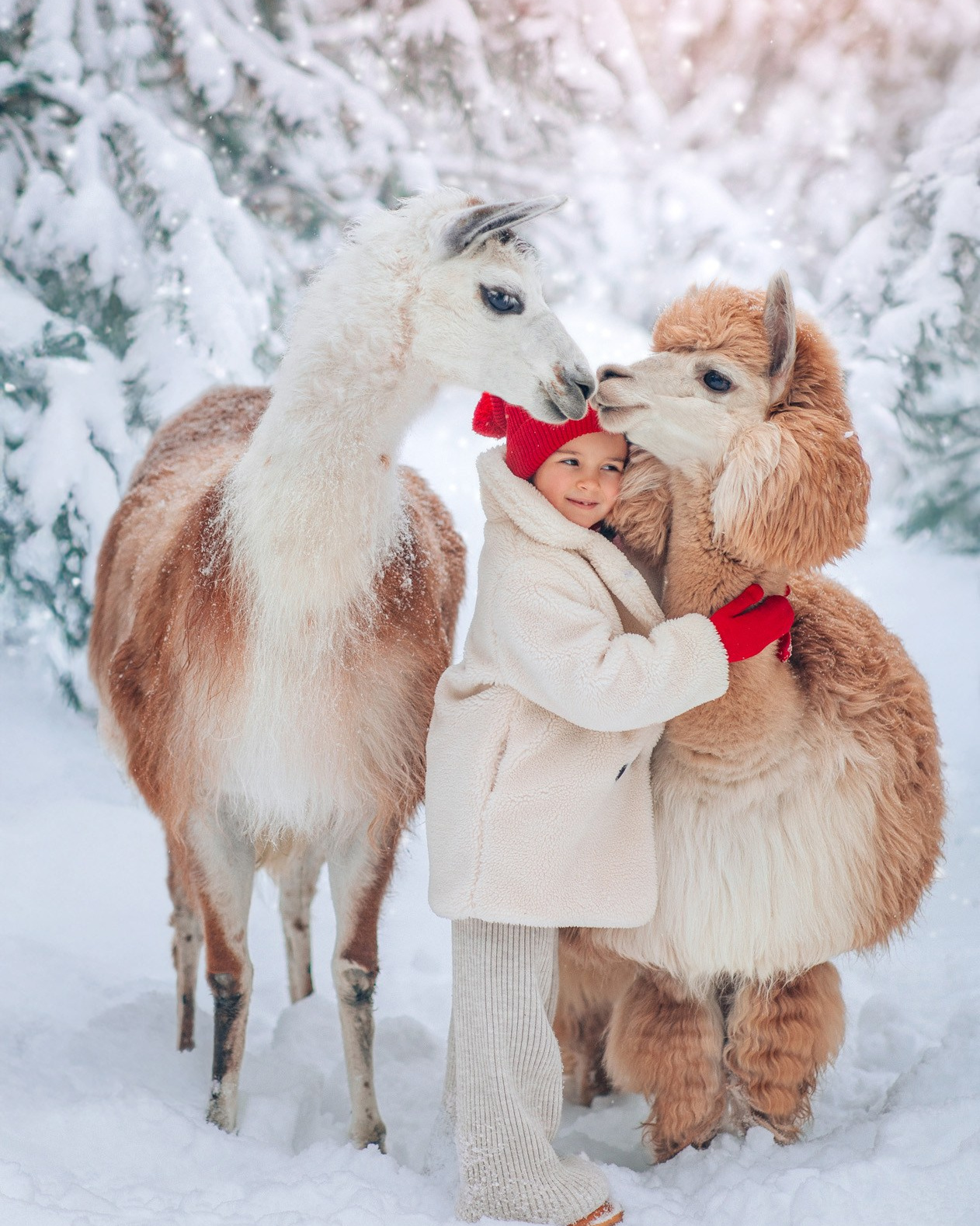 Расписание съёмок. Детский и семейный фотограф с животными в Москве Гурьева Надежда