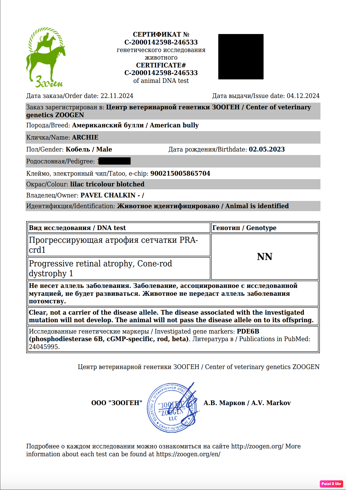 Официальный генетический сертификат ветеринарной лаборатории Зооген для кобеля Американского Булли по кличке ARCHIE