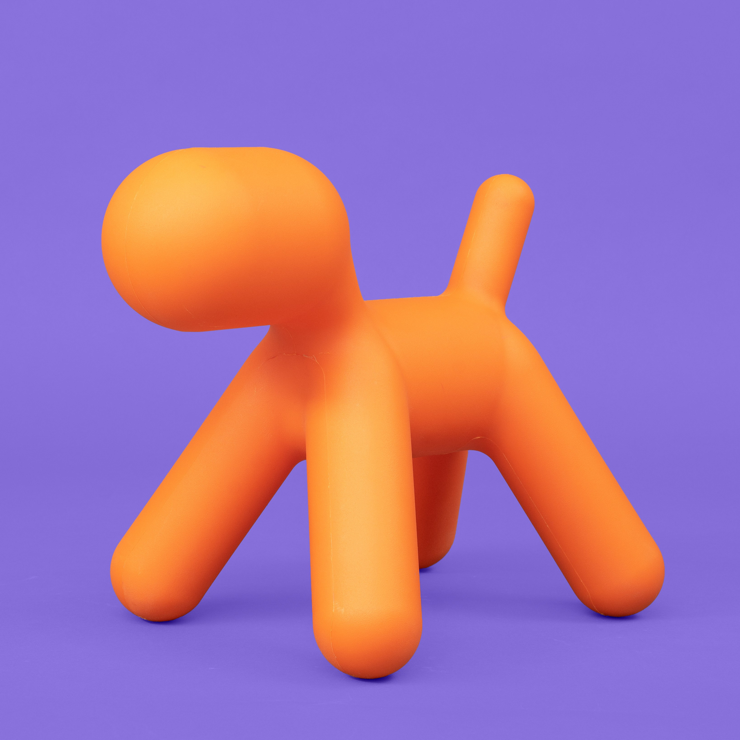 Фотограф Миланазавр