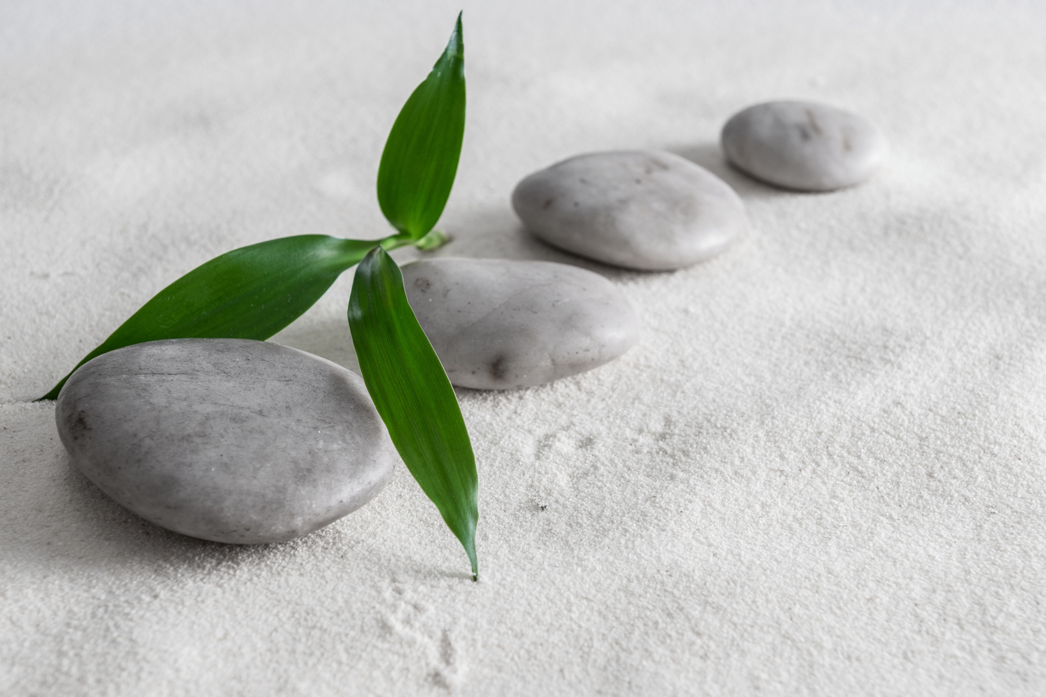 Услуги. Архитектура, дизайн-интерьера, проектирование