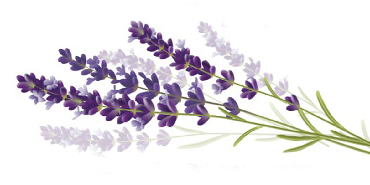 Контакты. Семейный, детский, newborn фотограф Москва,Московская обл Алла Риэр