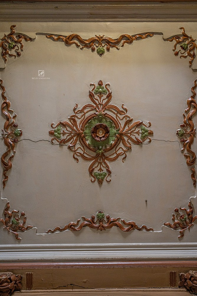 Парадная ар-нуво. Фотограф и искусствовед в Туле и Санкт-Петербурге Нелли Некрасова