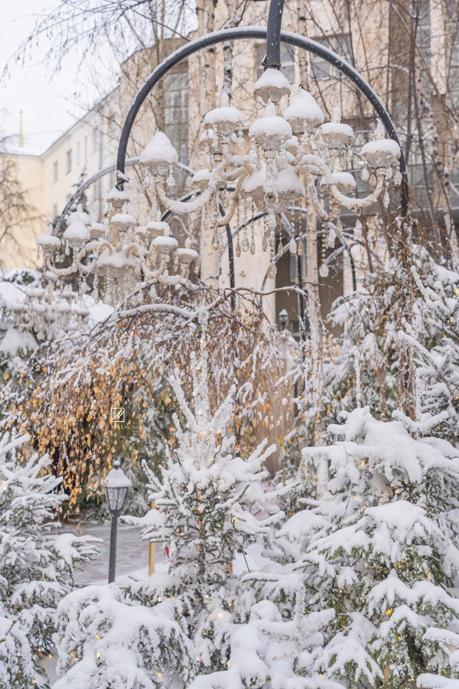 В поисках новогоднего чуда: немного огоньков и волшебства. Фотограф и искусствовед в Туле и Санкт-Петербурге Нелли Некрасова