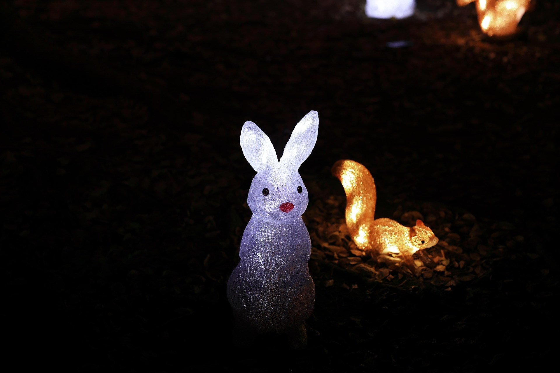 «Кристаллический фильтр» KANI. Фотограф — видеограф в Москве Дмитрий Менделеев