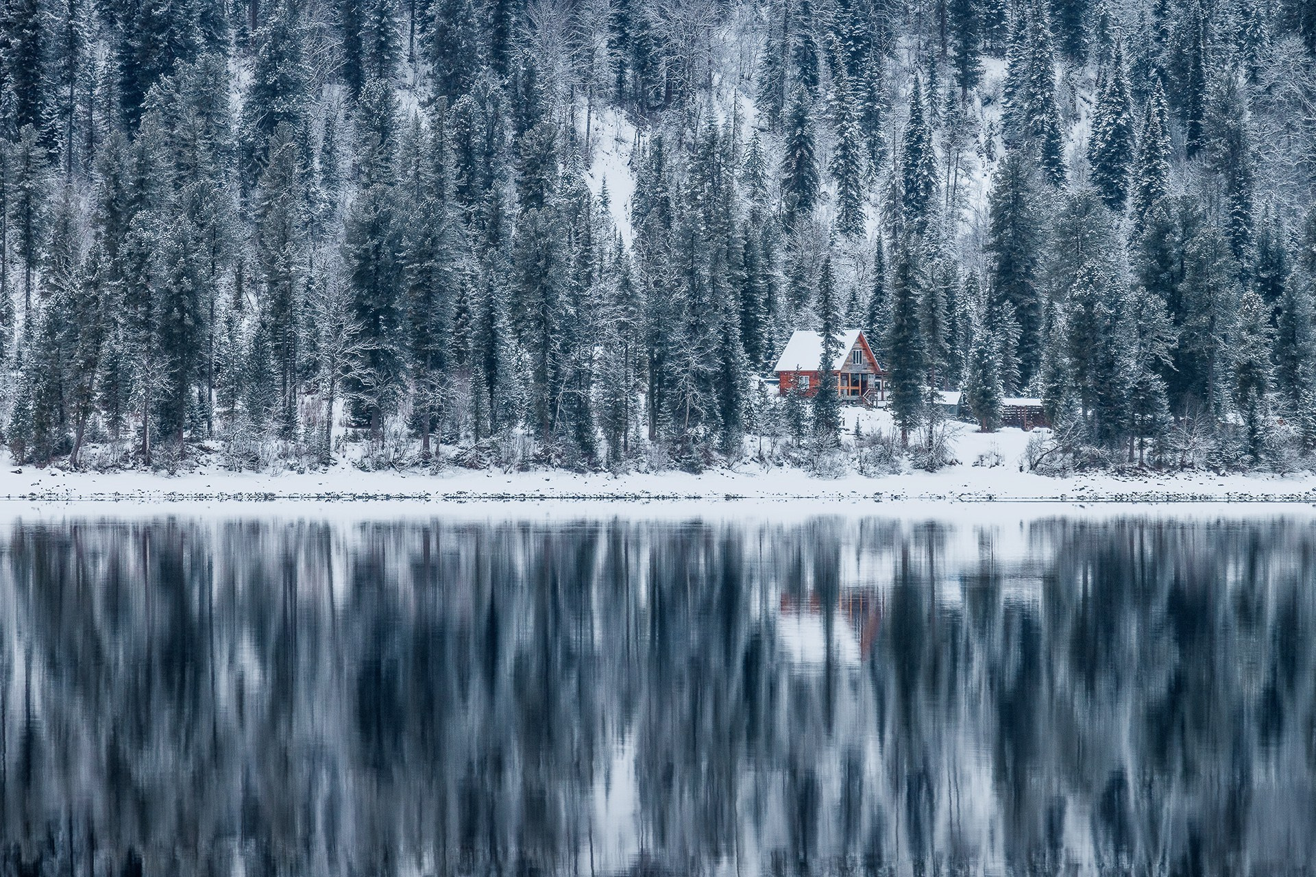 Зимние краски Алтая (01.12 — 07.12.25). Фотограф Константин Шамин