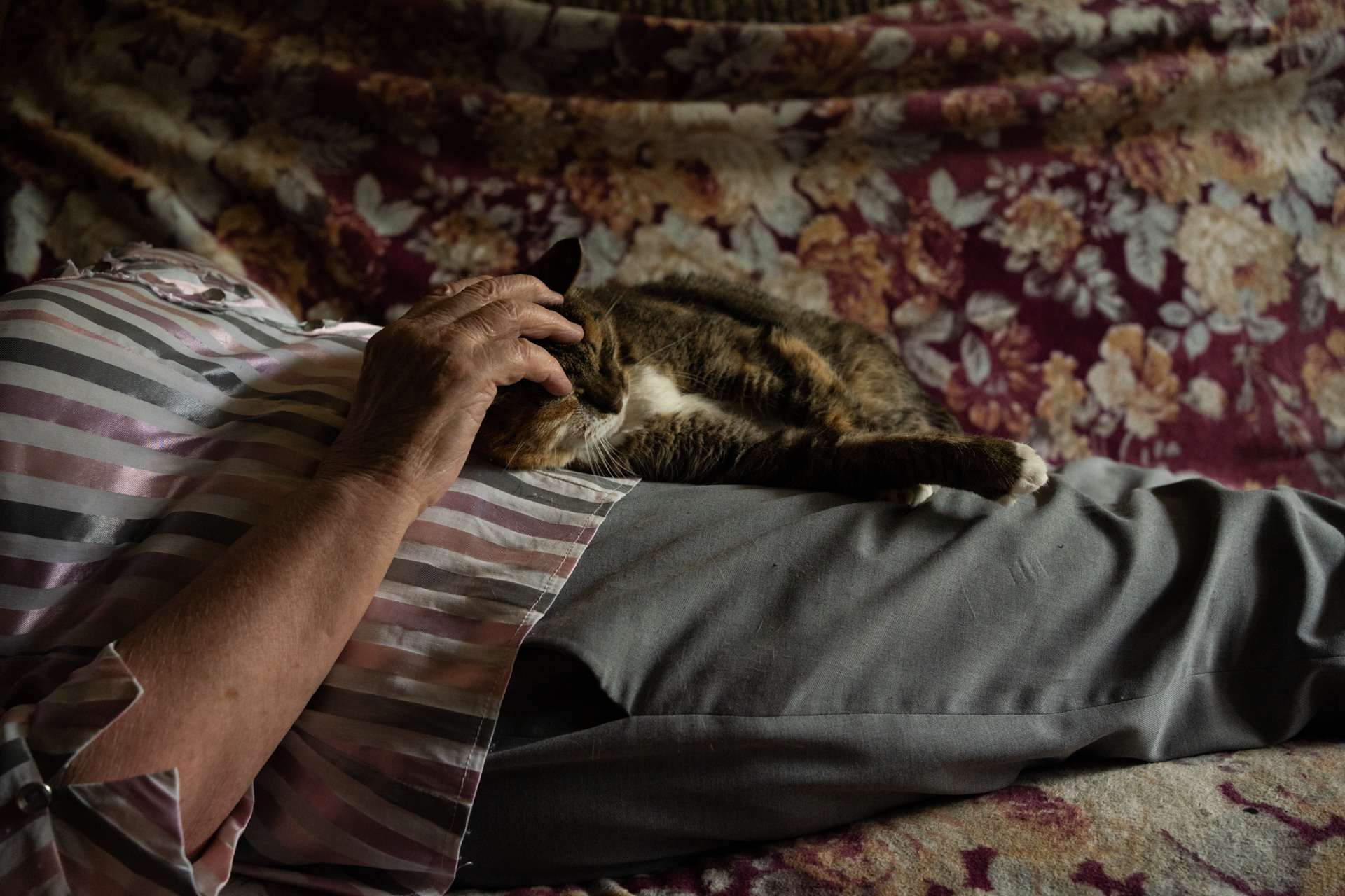 Borisovna. Victoria Nikolsky