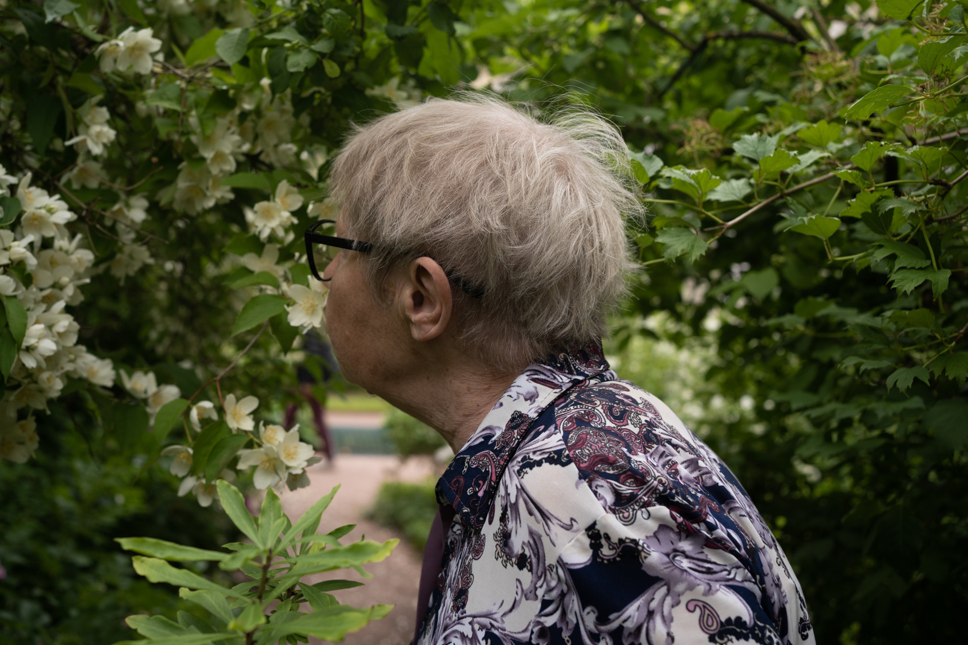 Borisovna. Victoria Nikolsky