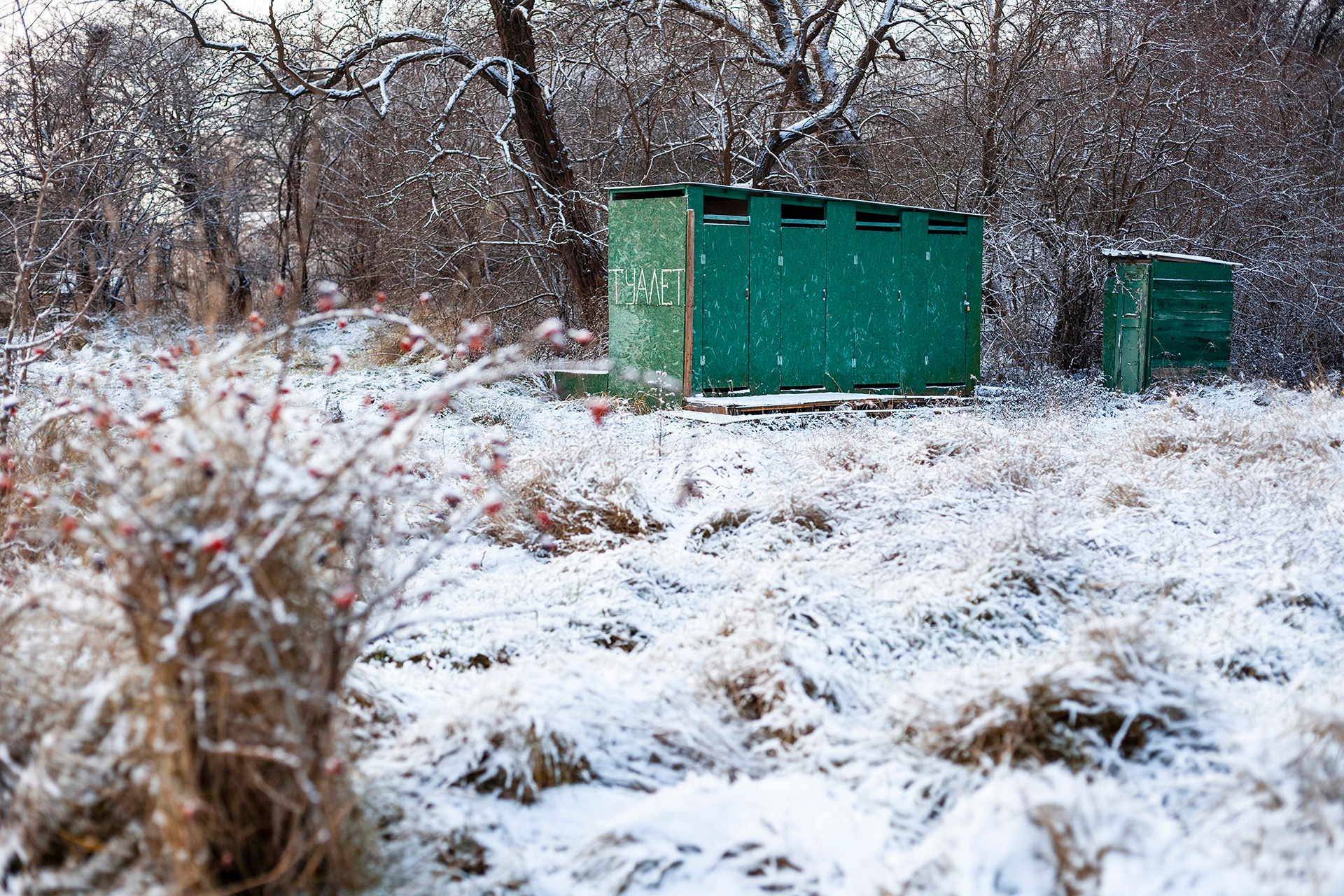Кураторский проект «Инородное тело»