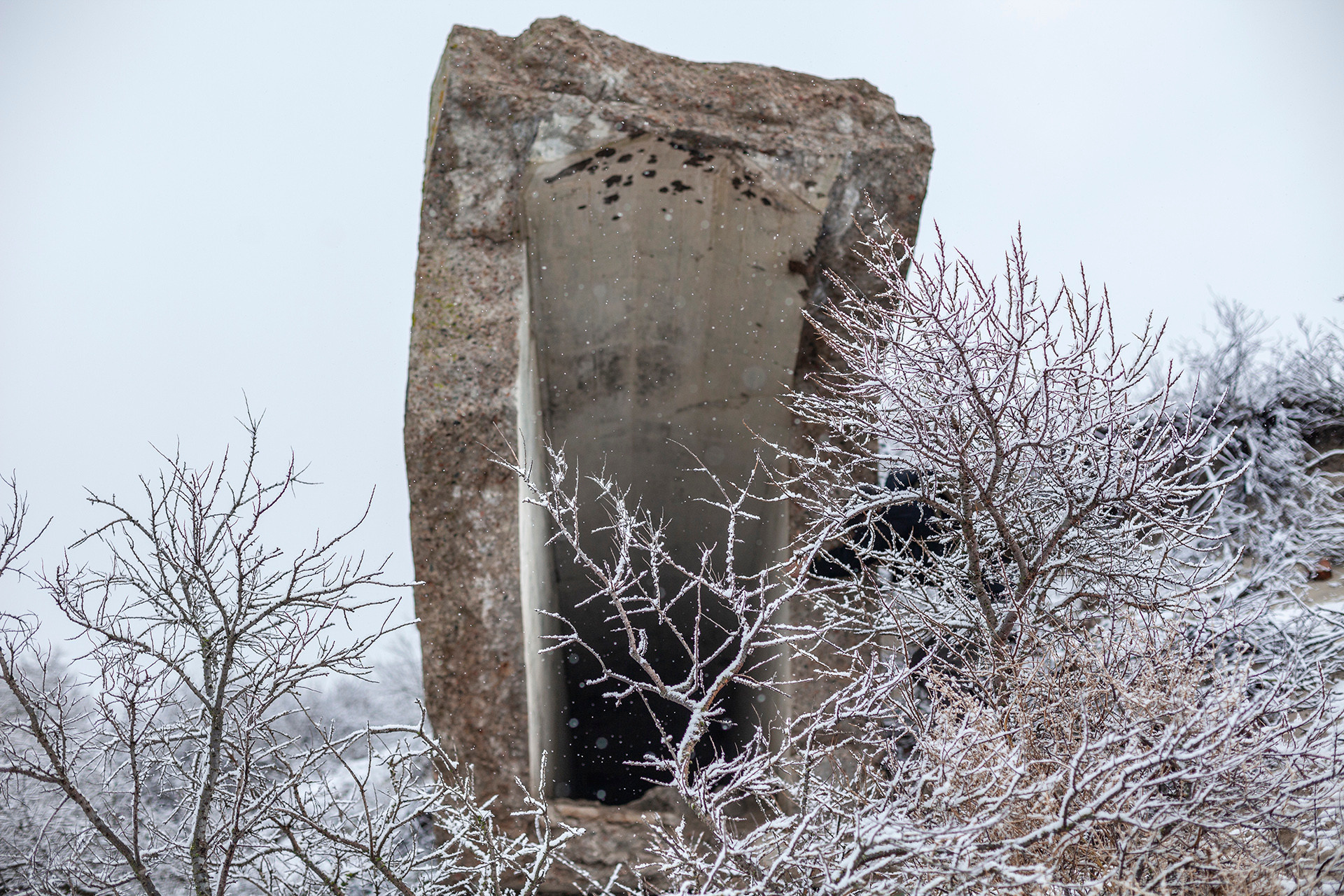 Кураторский проект «Инородное тело»
