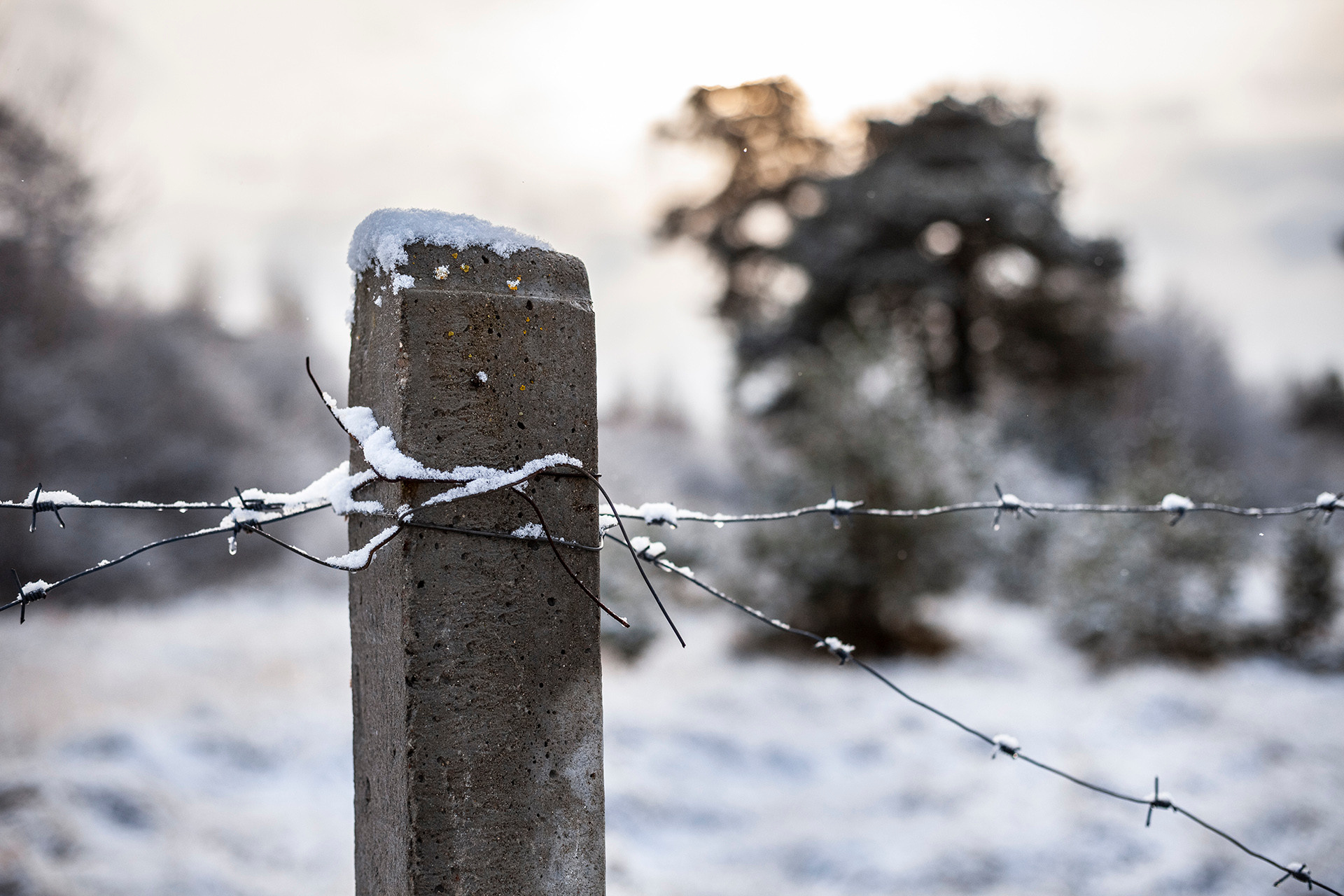Кураторский проект «Инородное тело»