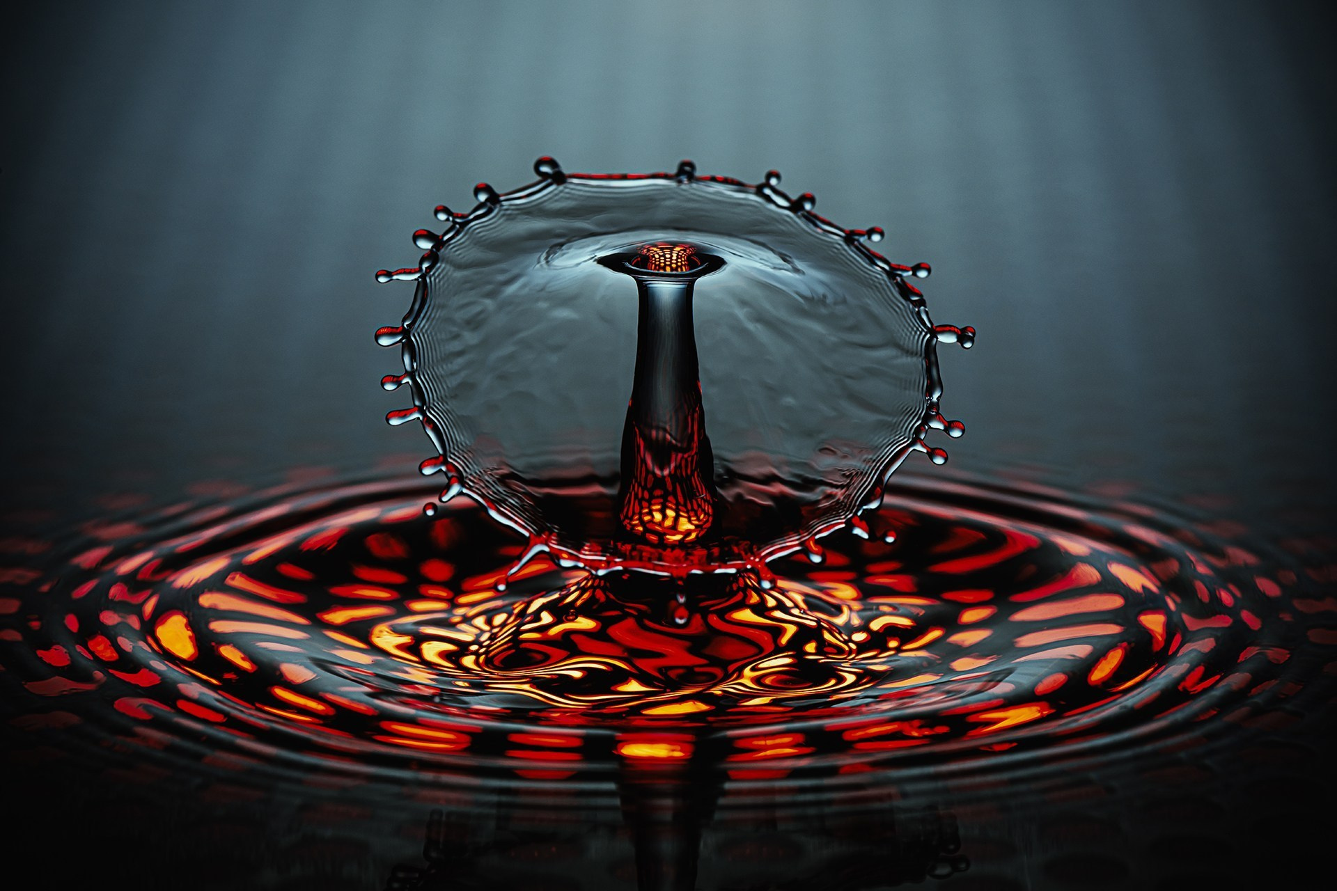 Portfolio Award 2024