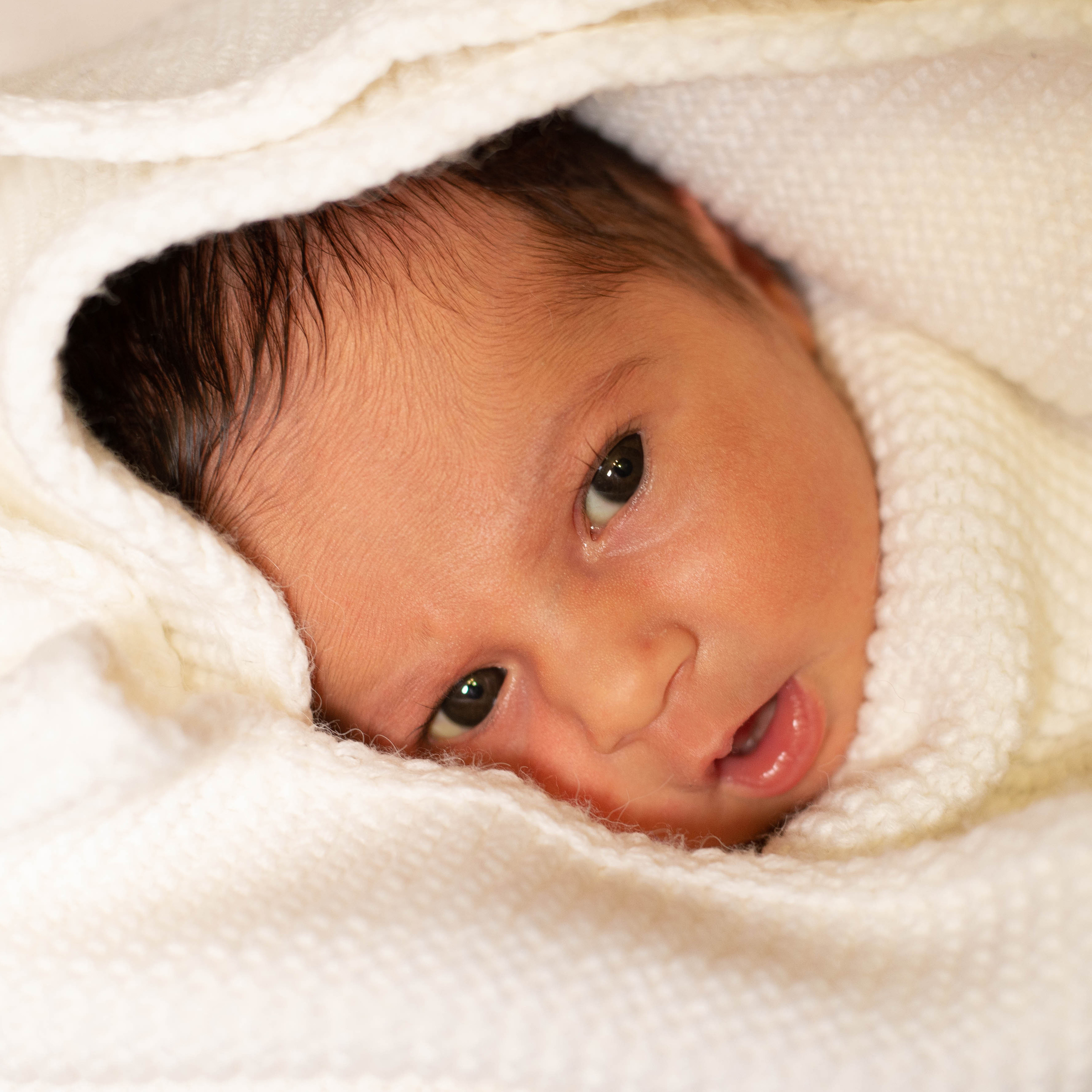 Прайс. Семейный и женский фотограф Натали Орёл