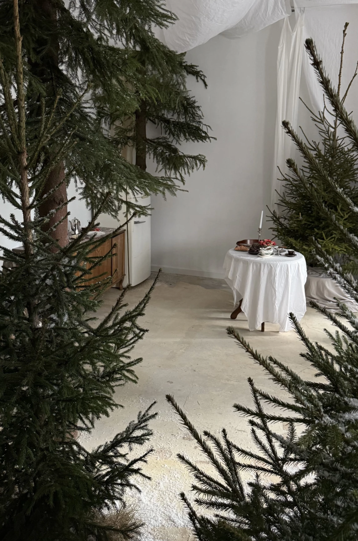 Нестандартные новогодние фотостудии в Москве в 2025 году. Фотосессия под ключ в Москве — креативные, женские и семейные съёмки | Фотограф Анна Лебедева