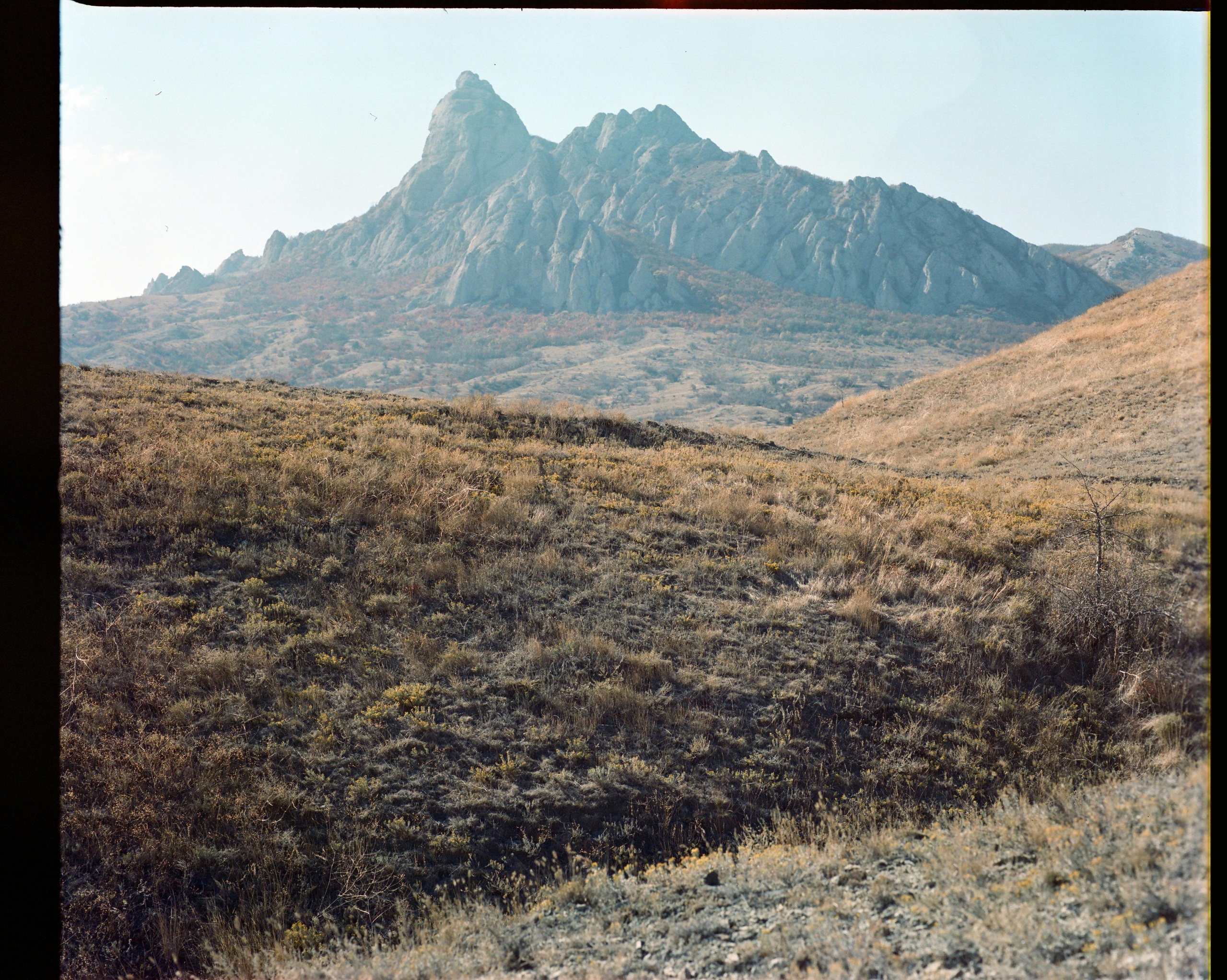 Стоимость, опции и программа школы Walking art