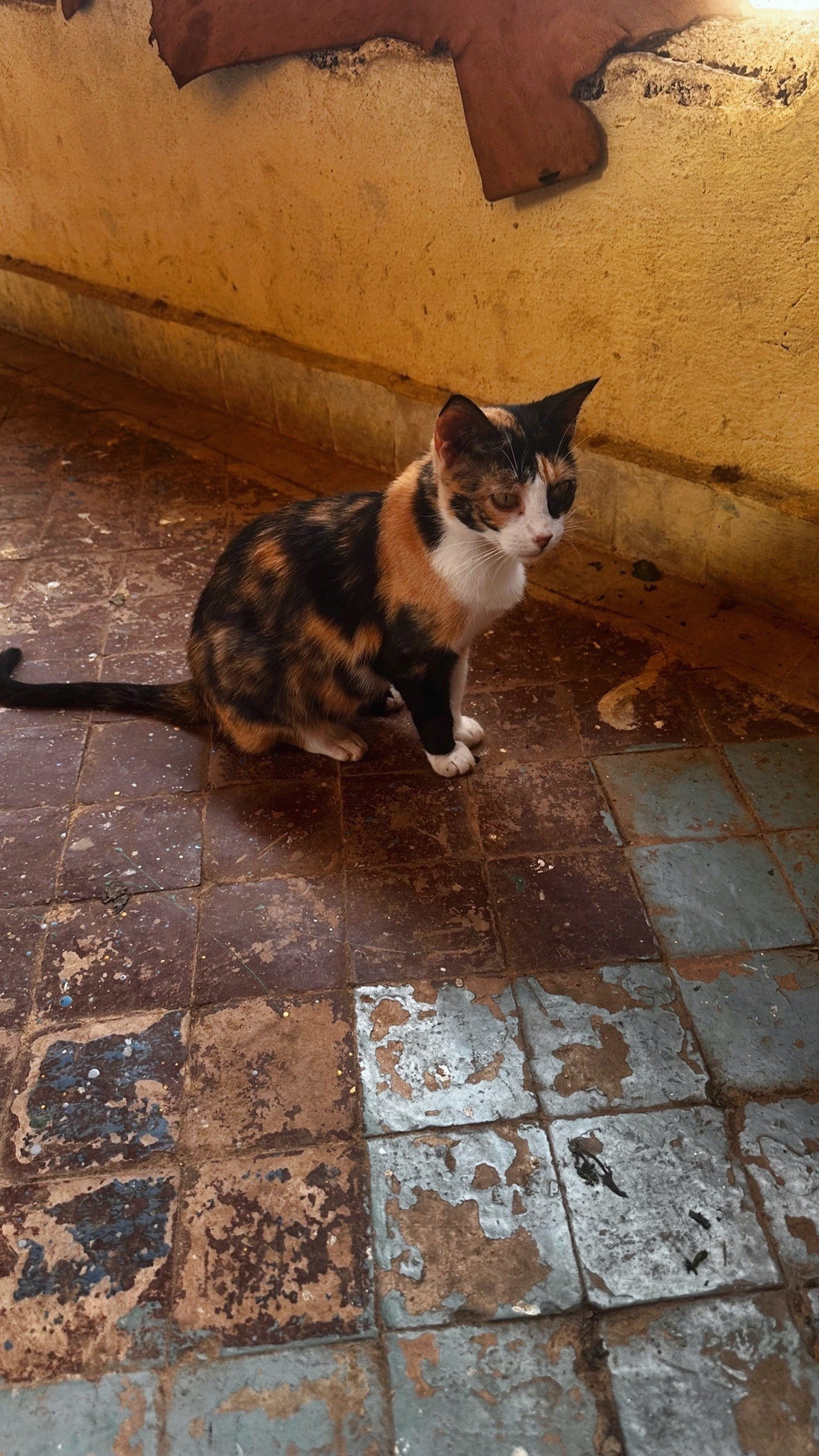 Фес и традиция марокканской керамики: зиллидж, ремесло и форма. EUGENIKA JEWELS — Идеальные украшения для избранных