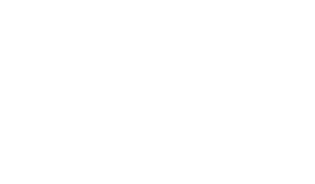 Проект «1st-Burger»