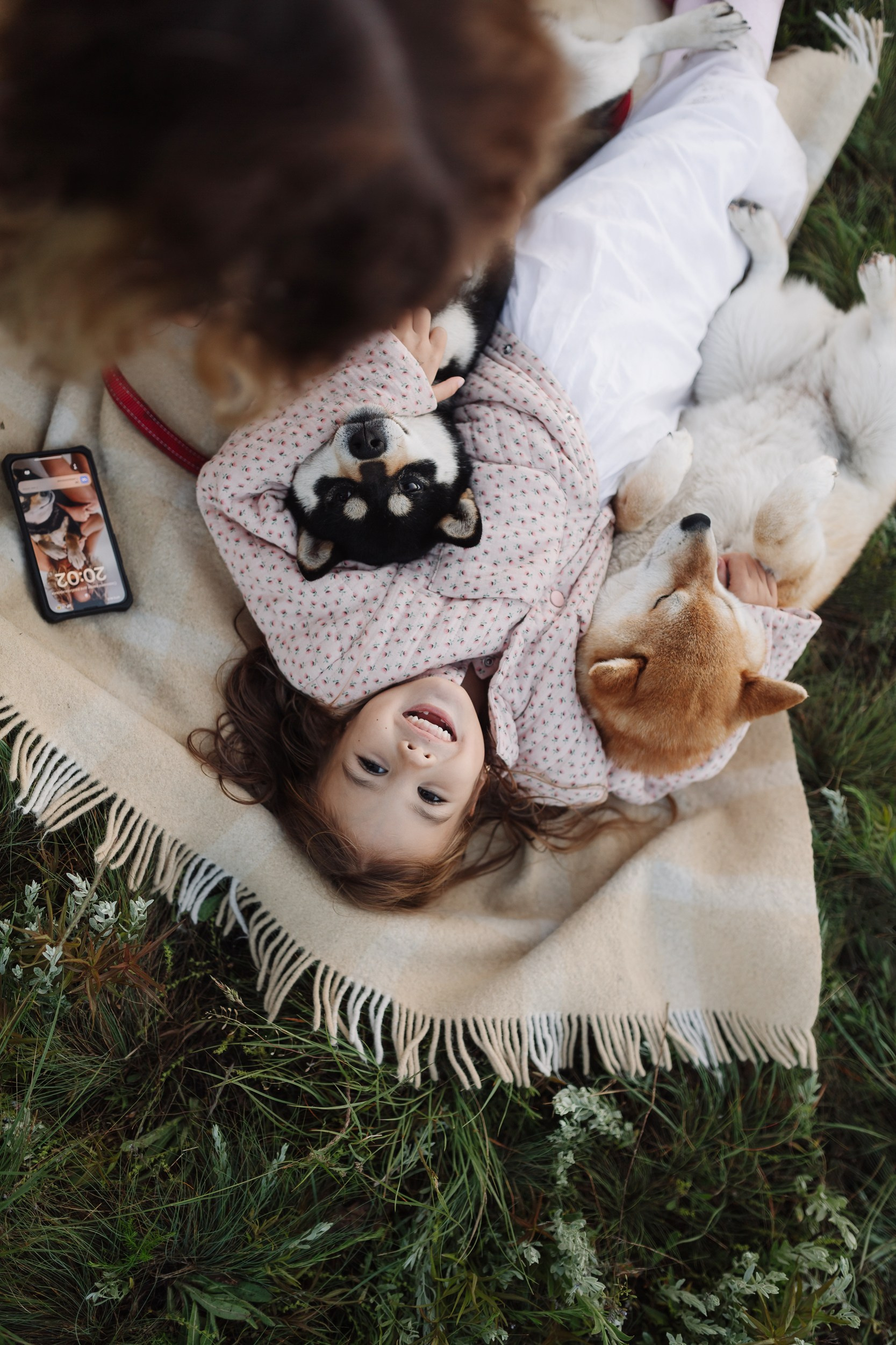 Стоимость. Фотограф-анималист Мавлютова Алена