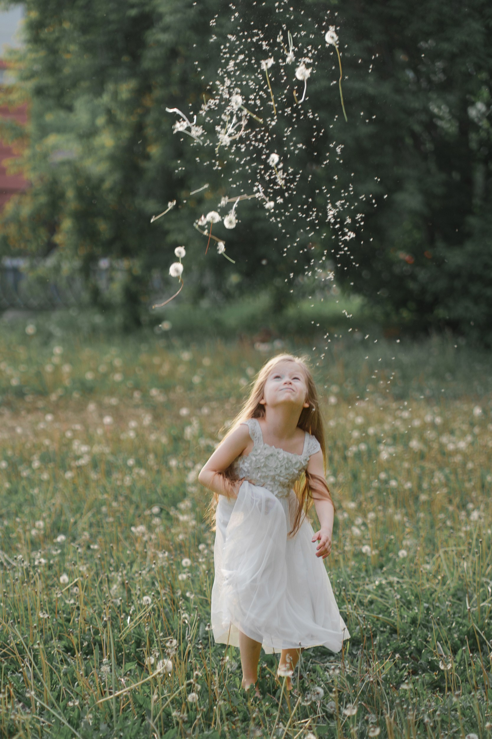 During a family photoshoot in Yekaterinburg, a girl creates a fireworks‑like burst of dandelion fluff.