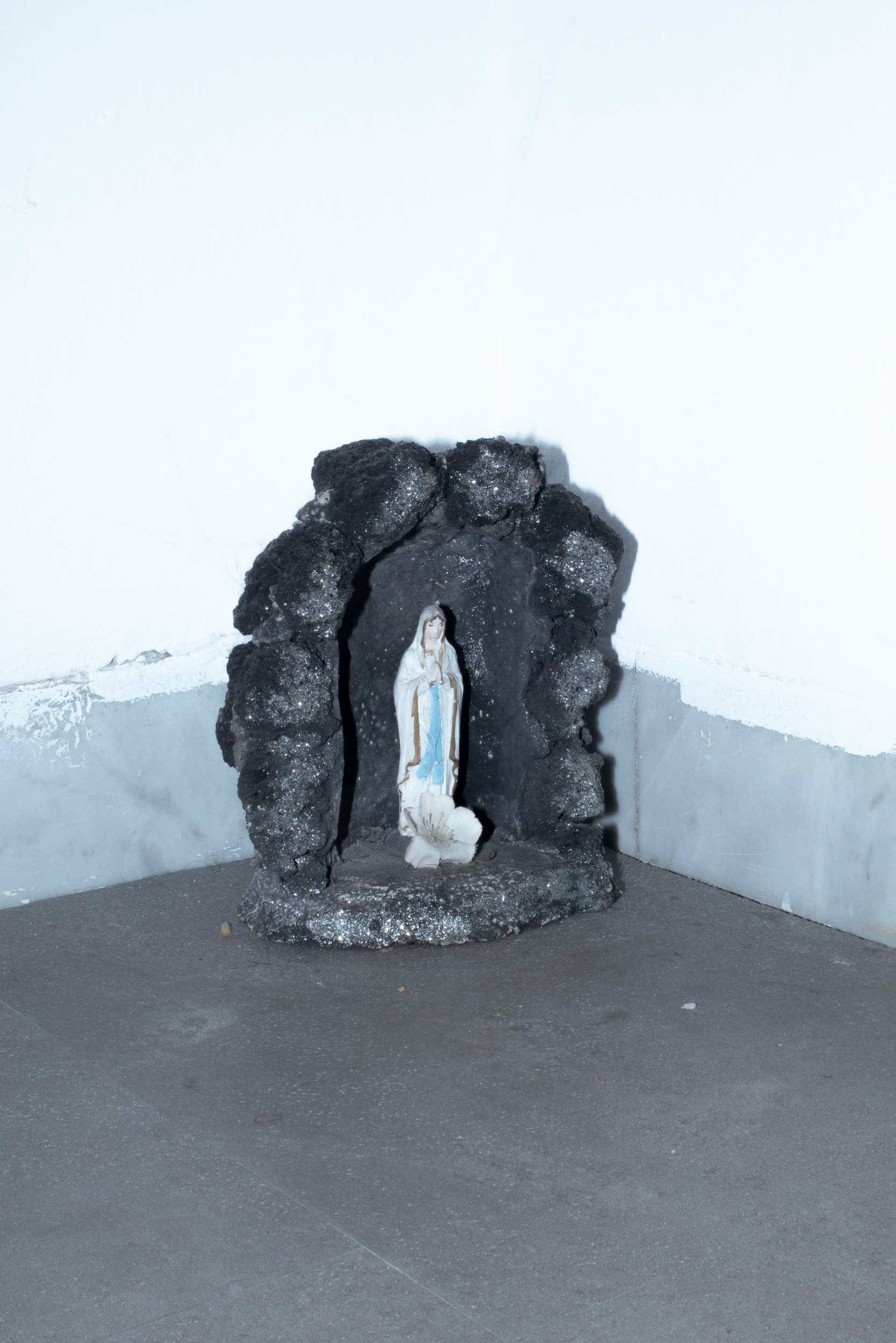 Аллигаторы. Elena Anosova is an award-winning visual artist