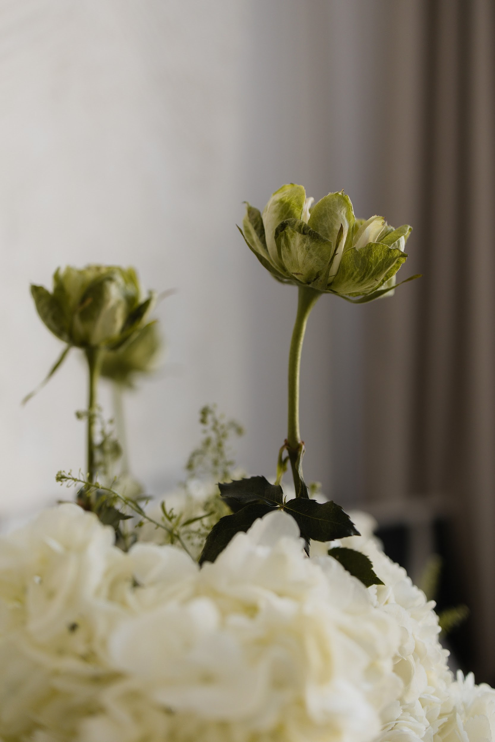 Контакты. Дизайнер в Москве Алла Зорина