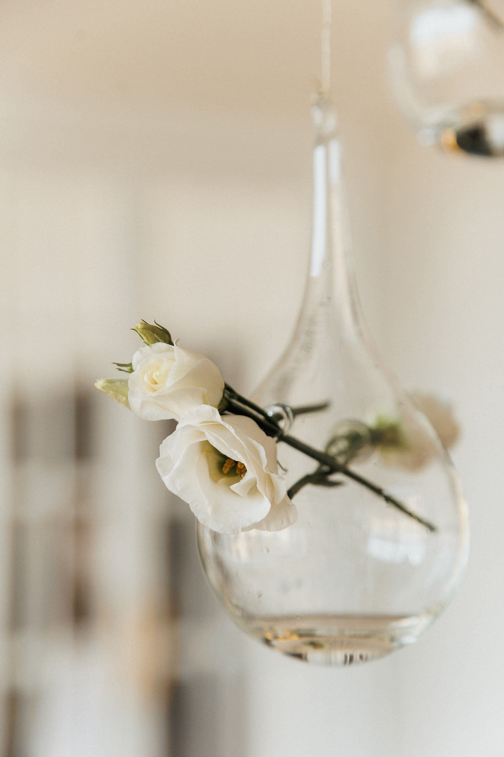 Контакты. Дизайнер в Москве Алла Зорина