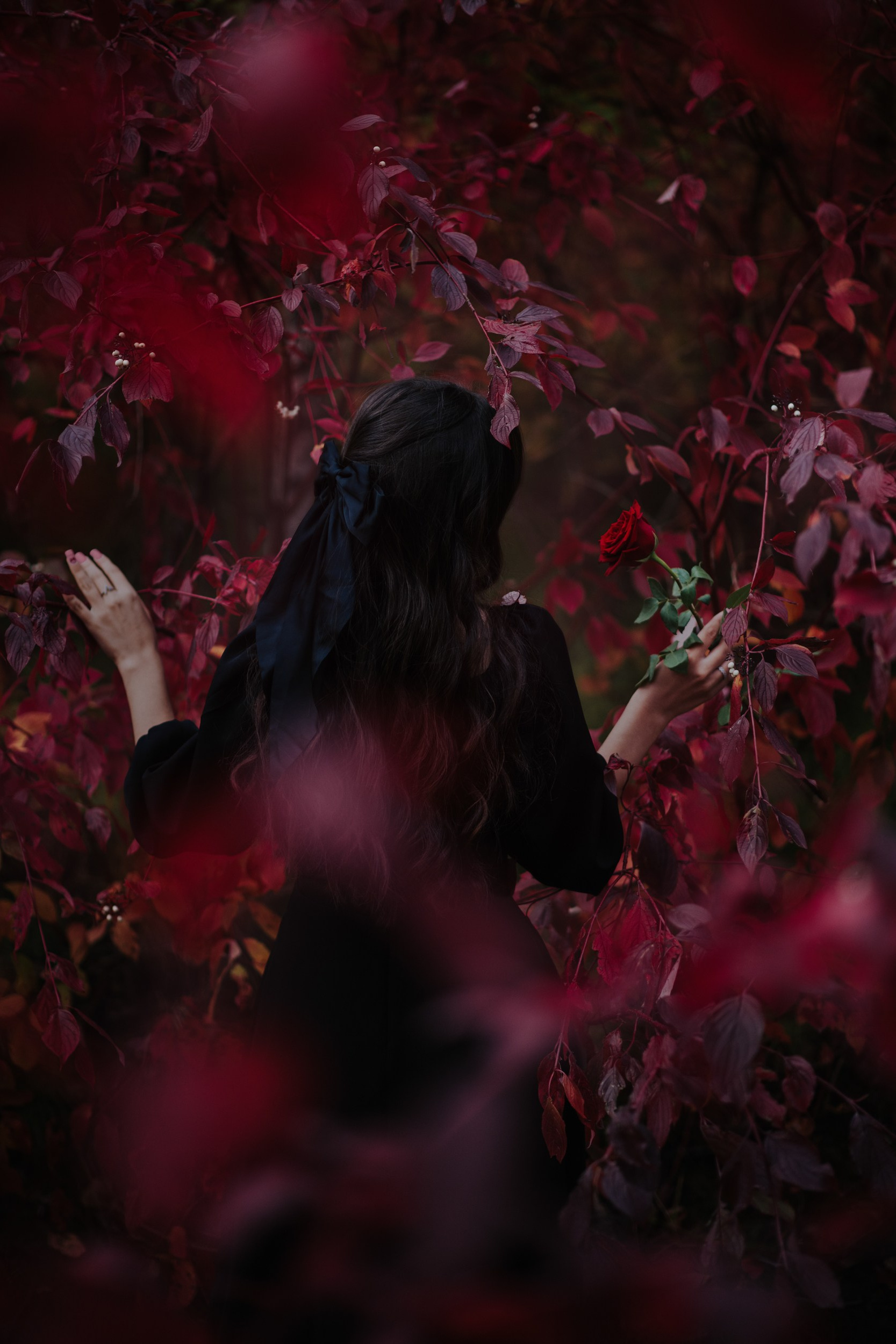 Прайс. Фотограф Саша Горбаневич из Таксимо