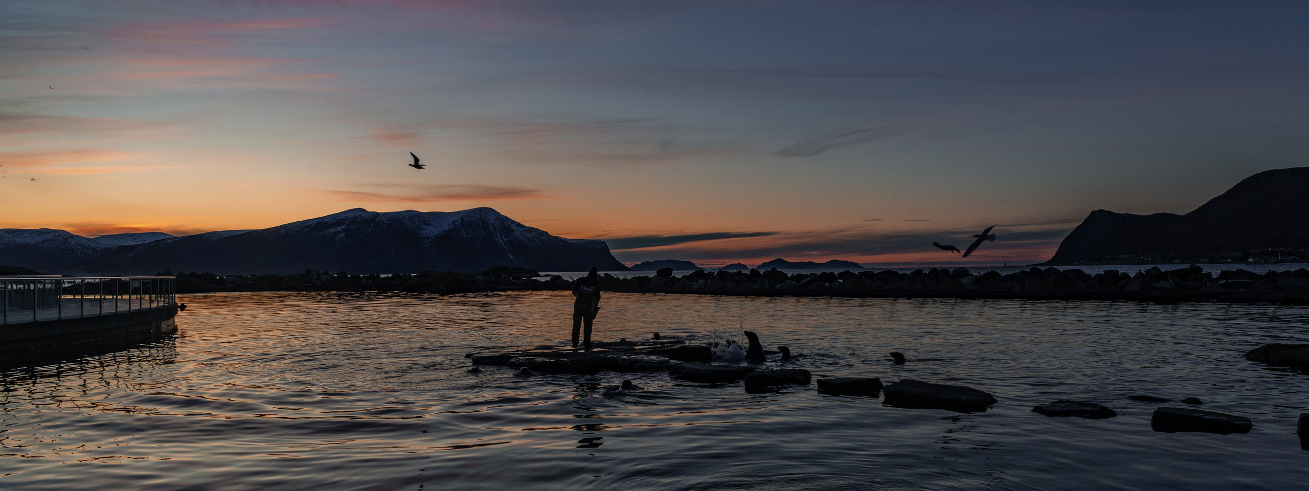 Контакты. Фотограф Любовь Белявцева