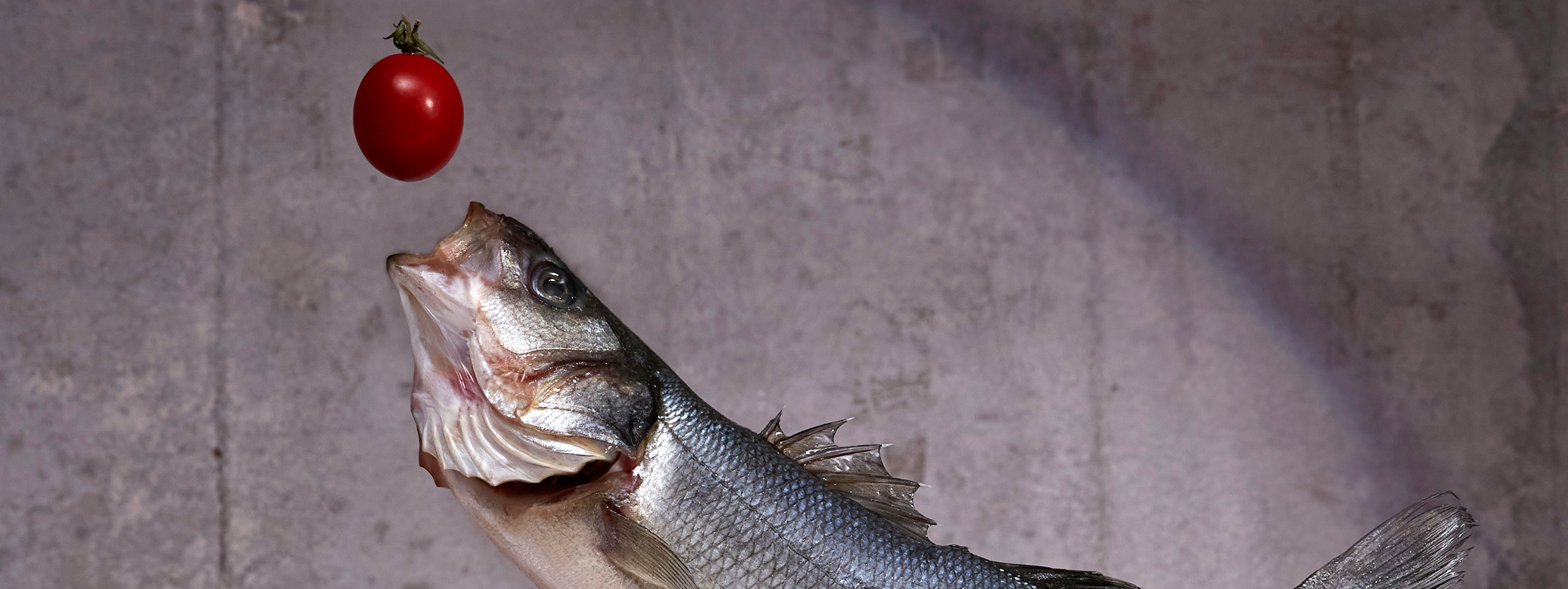 Контакты. Аксёнова Оля — сет-дизайнер, художник-постановщик, Москва