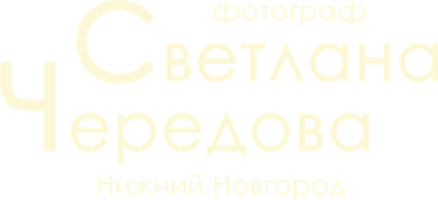 svetlanacheredova.ru