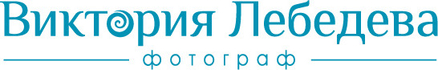 v-lebedeva.com