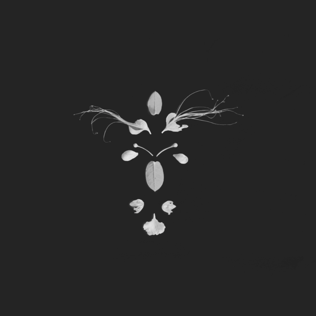 THERAPY LAYER. Сocoobird || Capturing the Essence of Your Brand in Photos & Videos