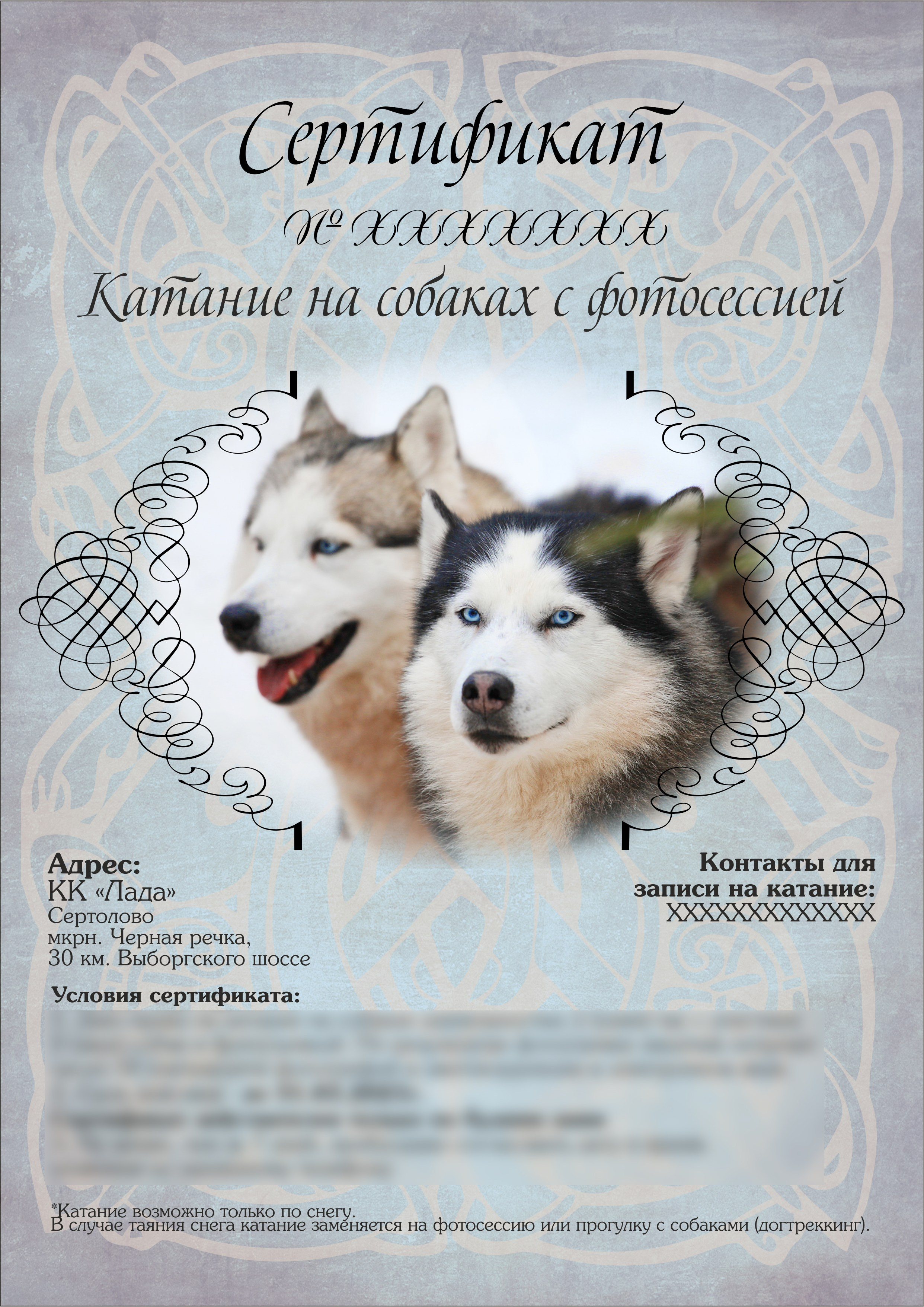 Катание на хаски в Спб