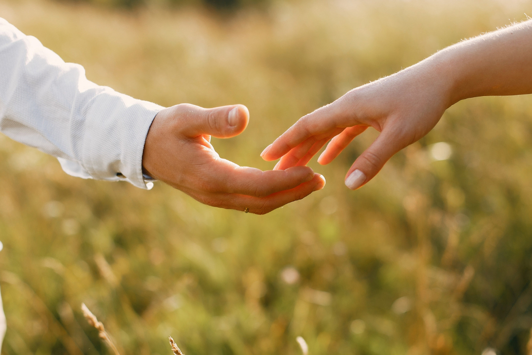 Услуги. Фотограф широкого профиля Cape Kate