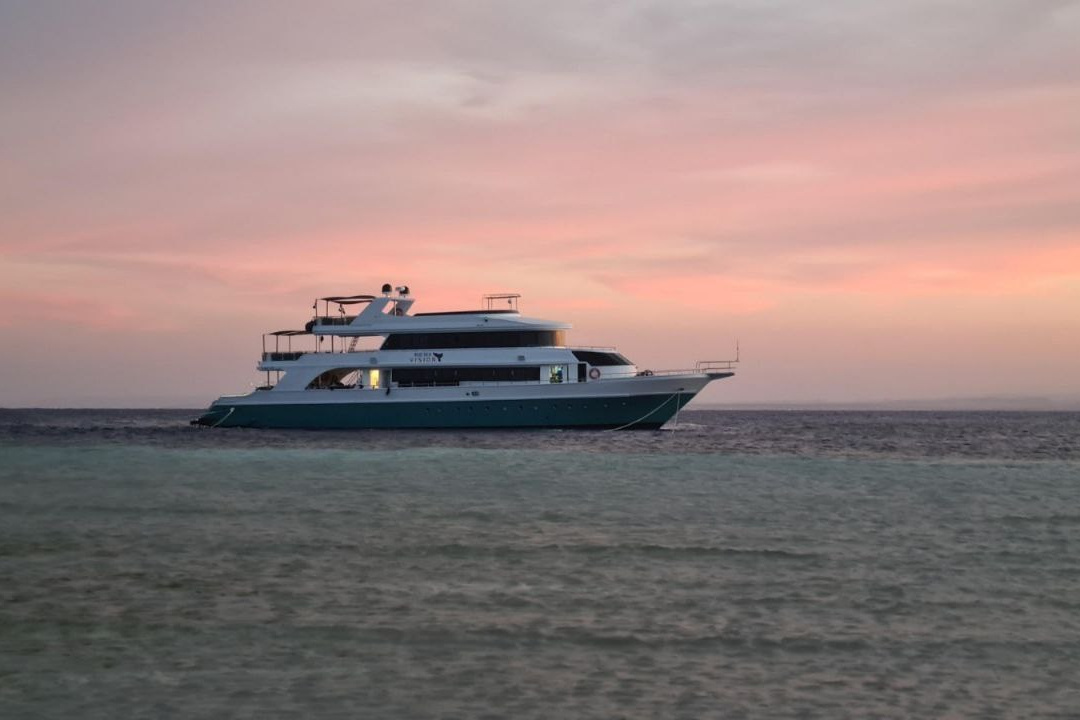 Дайвинг-сафари 19-26.04.2025. Дайвинг-клуб «Капитан Морган», Беларусь