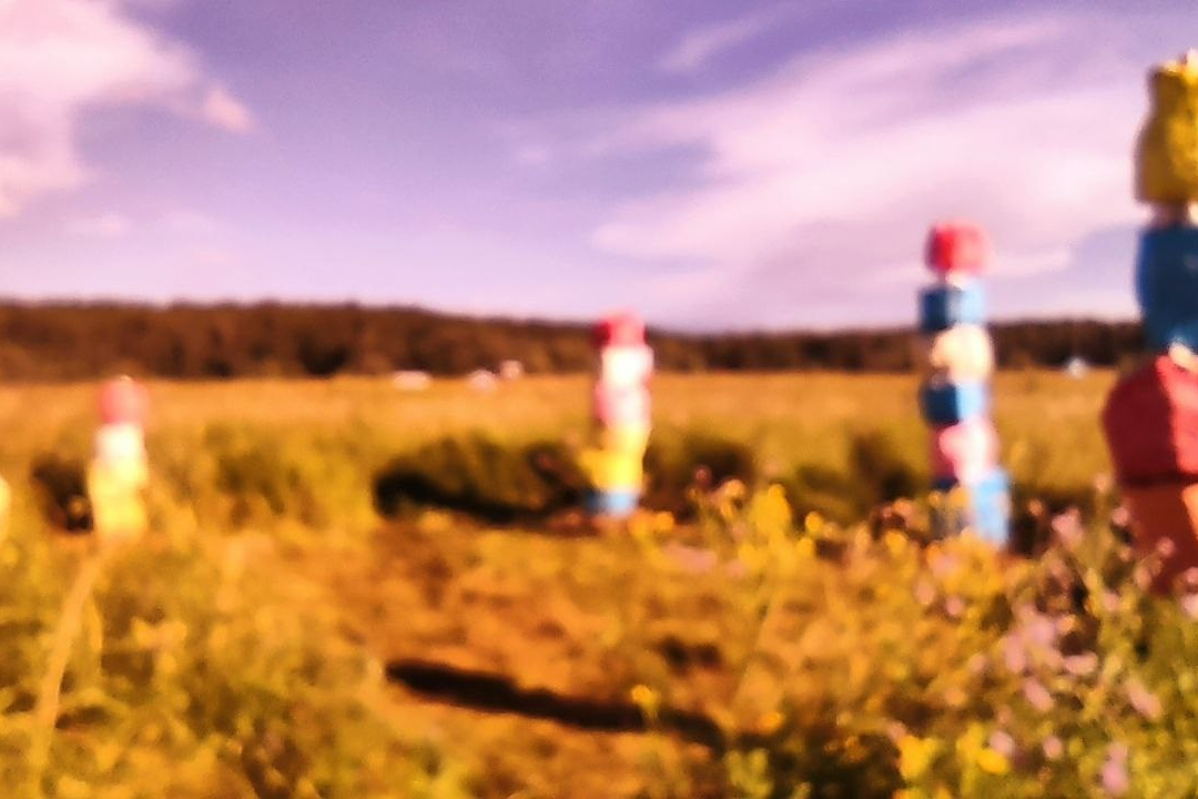 Цветной кромлех. Елизавета БаковА