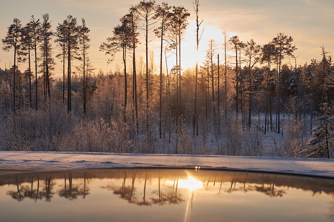 Контакты. Ольга Злобина фотограф Пойковский, ХМАО