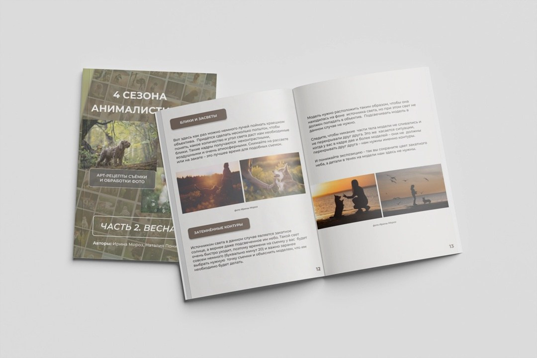 Гайды. Обучение анималистической фотографии