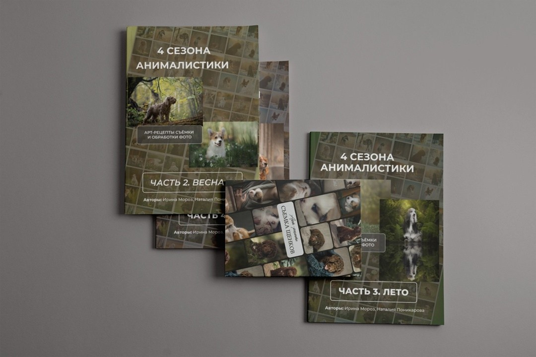 Гайды. Обучение анималистической фотографии
