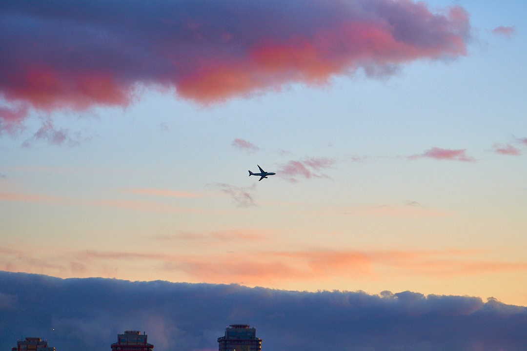 CITYSTETICA. Эльджан — Продюсер, Фотограф, El u Del