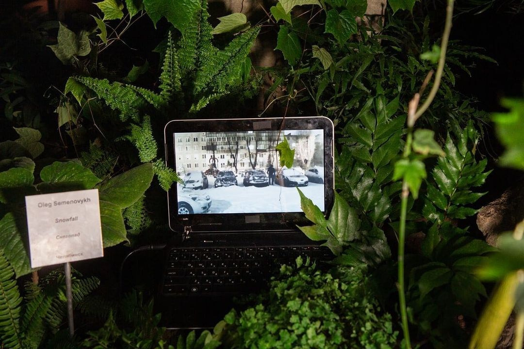 Снегопад. Artist Oleg Semenovykh